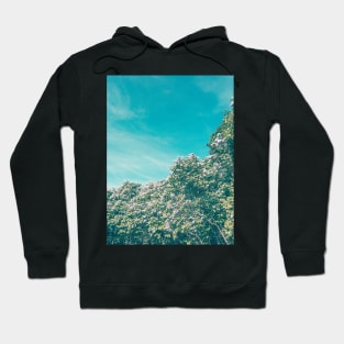 Blooming Lilac hedge and blue sky Hoodie